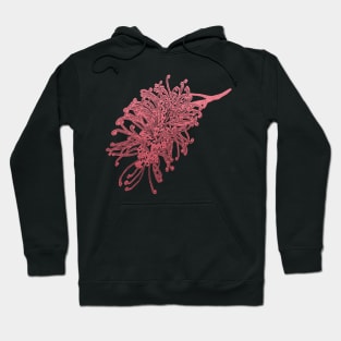 Australian Native Floral Illustration - A Beautiful Pink Grevillea Flower Hoodie